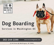 Dog Boarding Services in Washington DC - The Duncan Dog Hotel & Day Sp